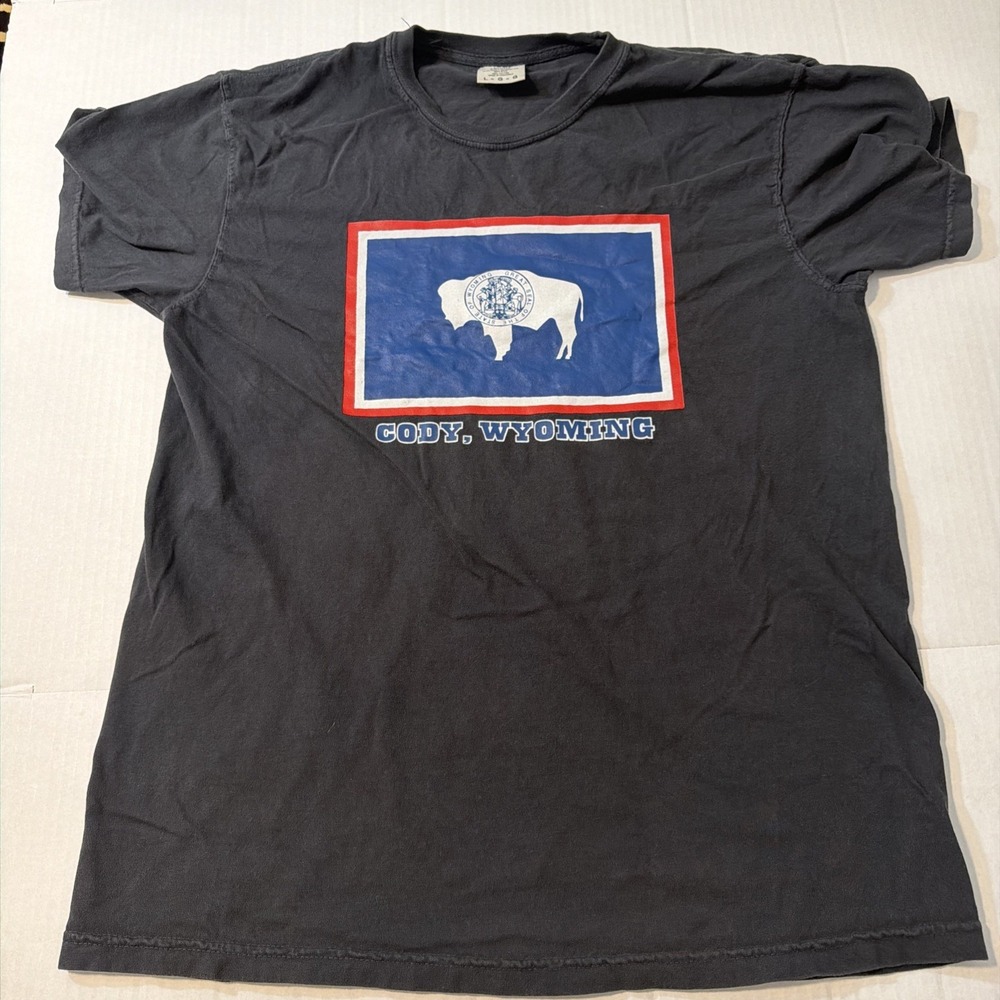 Comfort Colors Black Cody Wyoming Buffalo Graphic Long Sleeve Tee
